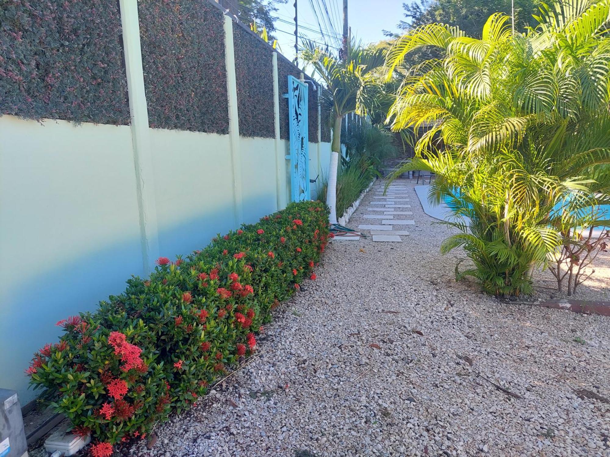 Hotel Carlota Tamarindo Exterior foto